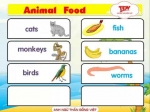 Animal food