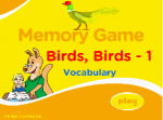 Birds Memory 1