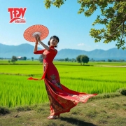 Culture 2: Dance in Vietnam