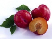 Unit 9: I like plums !