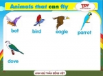 Animals that can fly
